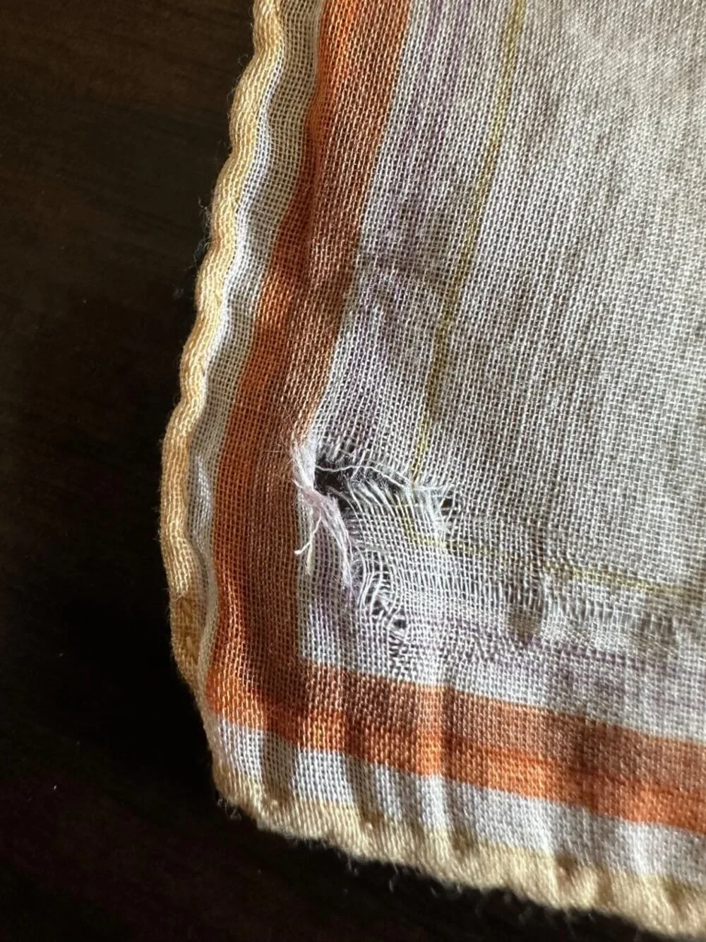 Vintage Flora Stoffels Handkerchief With Orange Roses & Bugs Print